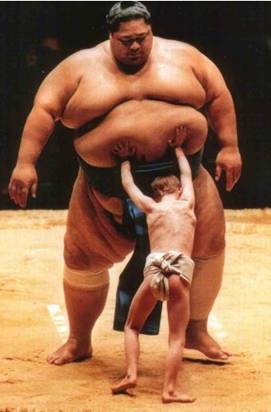 Sumo wrestler being pushed.
